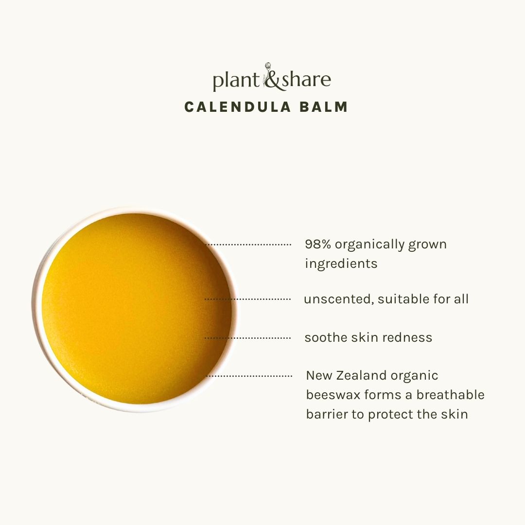 Calendula Balm - Image 2